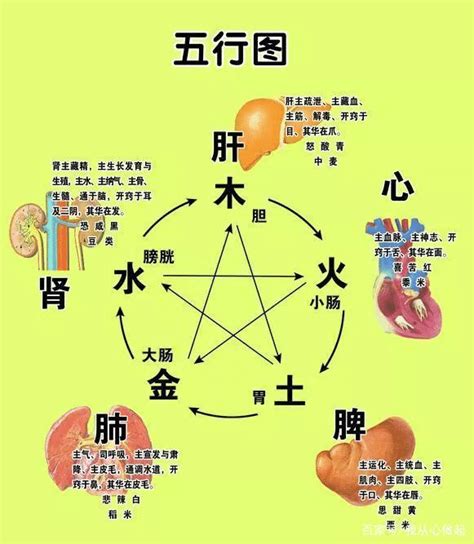 五行身体部位|一张表，看懂五行与天地人身的对应